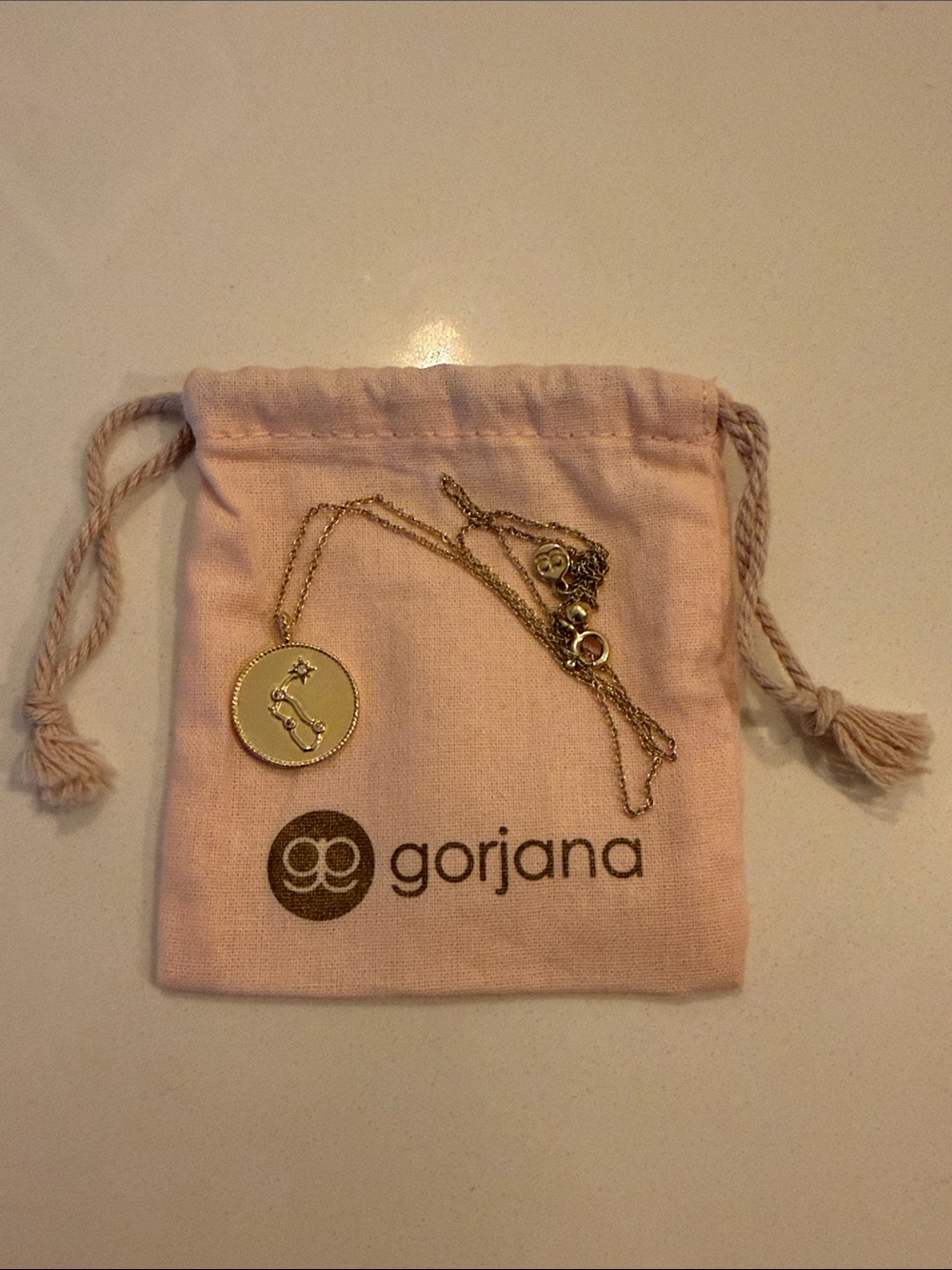 Gorjana Aquarius Gold Zodiac Disc Necklace - Picture 1 of 4
